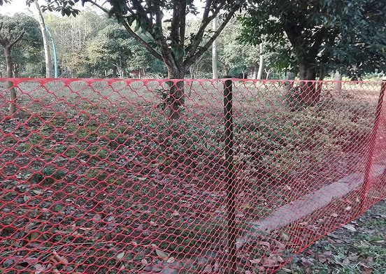 A rede plástica para aves é a solução ideal para os avicultores?